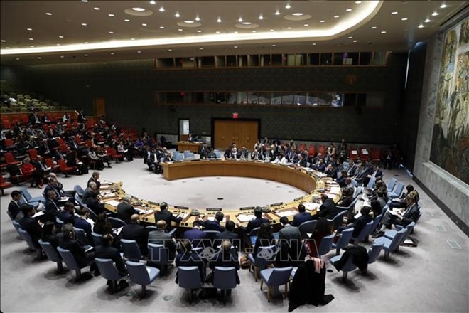 Vietnam prepared for a non-permanent seat at UNSC - ảnh 1