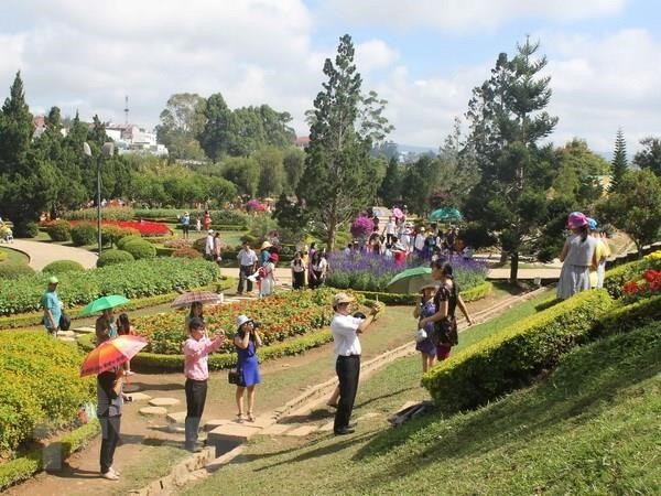 Da Lat flower festival to run in December - ảnh 1