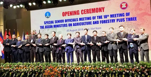 ASEAN+3 discuss cooperation in agriculture, forestry - ảnh 1