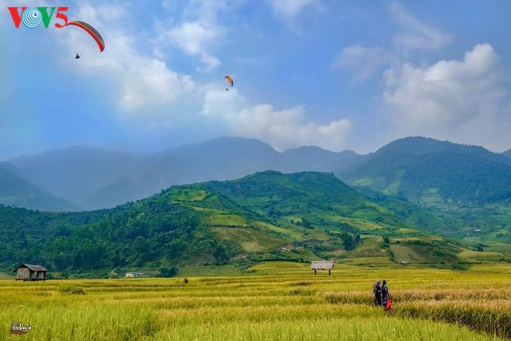 Bright yellow Mu Cang Chai in the harvest season - ảnh 10