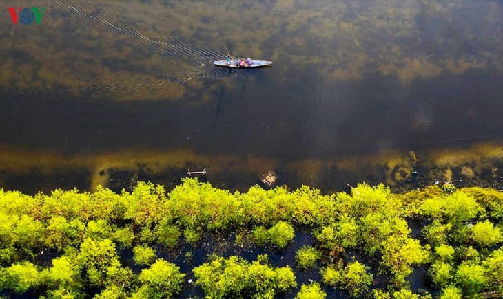 Quang Loi lagoon – a must-visit destination in Tam Giang lagoon system - ảnh 10