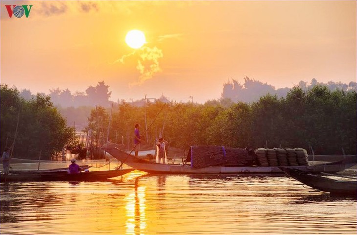 Quang Loi lagoon – a must-visit destination in Tam Giang lagoon system - ảnh 16