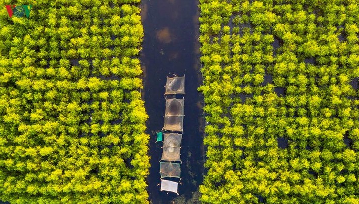 Quang Loi lagoon – a must-visit destination in Tam Giang lagoon system - ảnh 5