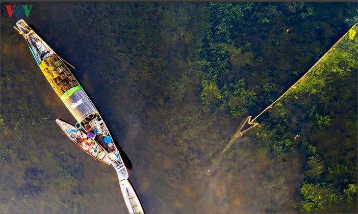 Quang Loi lagoon – a must-visit destination in Tam Giang lagoon system - ảnh 7