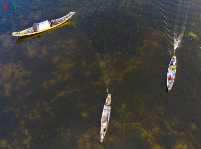 Quang Loi lagoon – a must-visit destination in Tam Giang lagoon system - ảnh 8