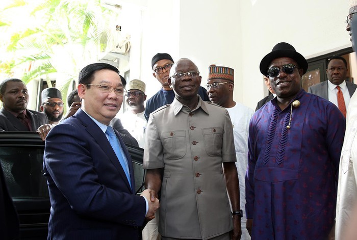 Vietnam, Nigeria promote economic and investment cooperation - ảnh 1