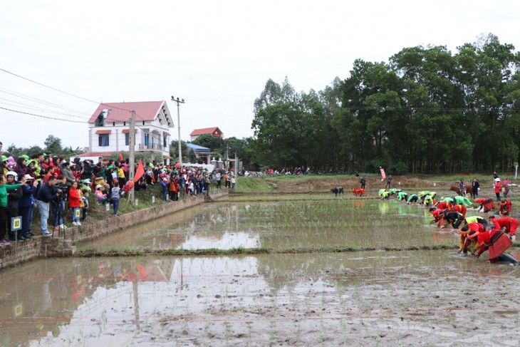 Spring, the cultivation season in Vietnam’s rural areas - ảnh 1