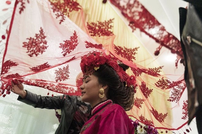 Vietnam ornamental fish seller photo wins grand Smithsonian prize - ảnh 7