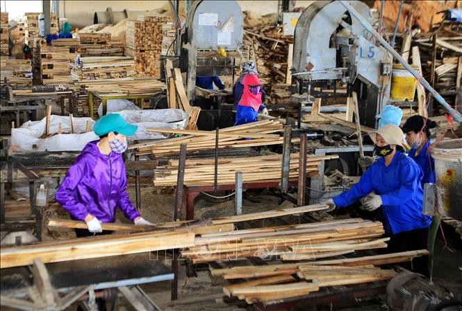 Vietnam’s wood export targets 12 billion USD - ảnh 1