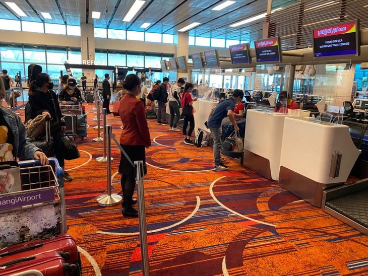 Vietnamese citizens repatriated from Singapore - ảnh 1