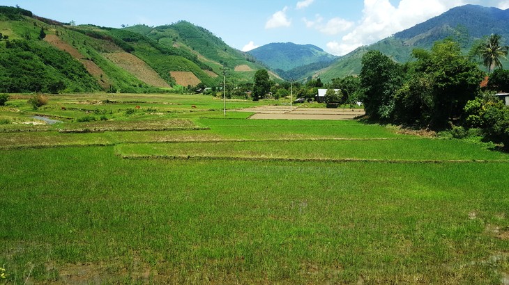 A former revolutionary base in Dak Lak thrives - ảnh 1