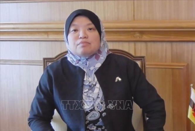 Brunei senator: Vietnam overcomes difficulties to fulfill AIPA Presidency term - ảnh 1