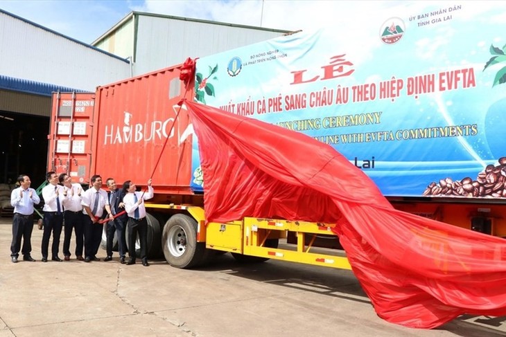 Gia Lai exports first batch of coffee to EU under EVFTA - ảnh 1