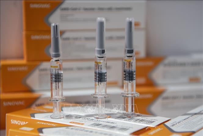 China says to produce 610 COVID-19 vaccine doses this year - ảnh 1