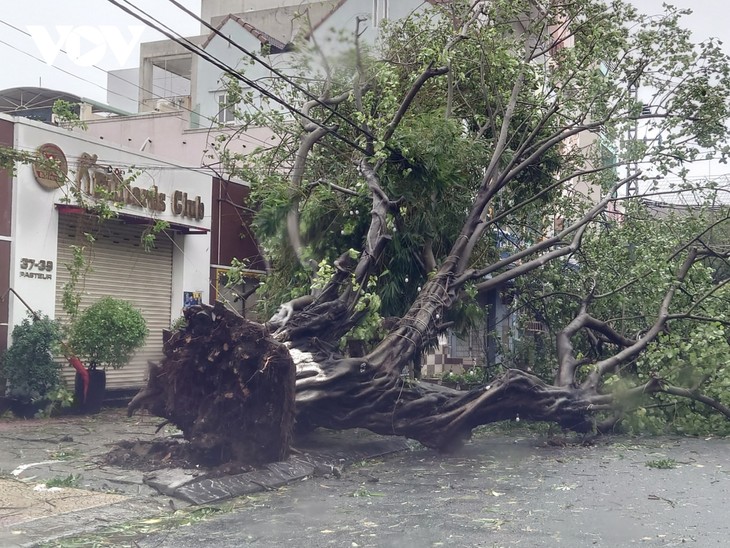 Storm Molave ravages Vietnam's central region - ảnh 5