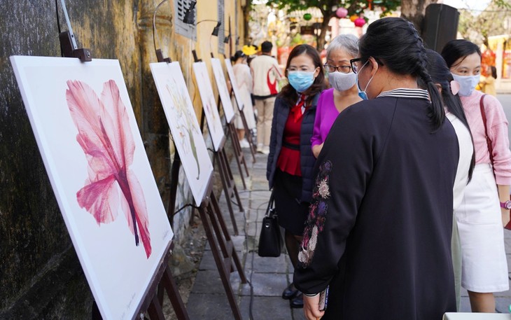 Exhibition in Quang Nam introduces Colombian flowers - ảnh 2