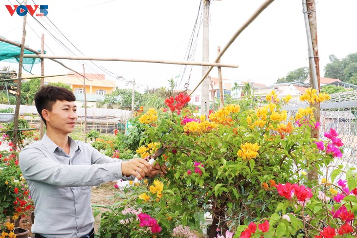 Flower villages in full swing ahead of Lunar New Year  - ảnh 2