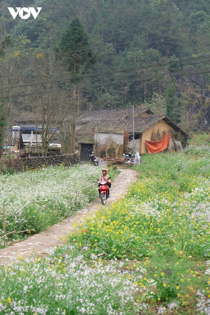 Stunning beauty of Ha Giang province - ảnh 10