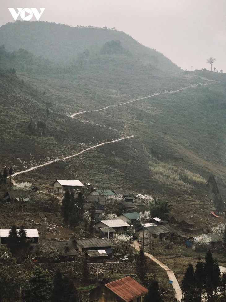 Stunning beauty of Ha Giang province - ảnh 11