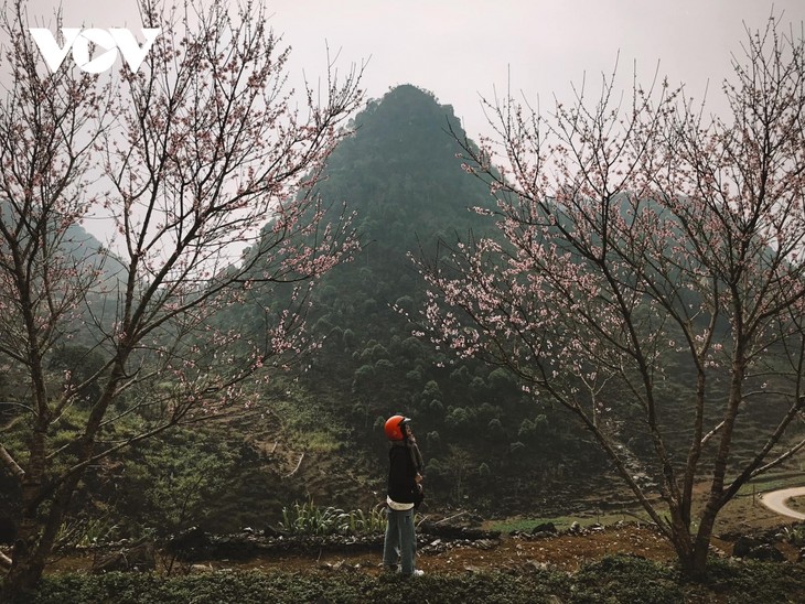 Stunning beauty of Ha Giang province - ảnh 1