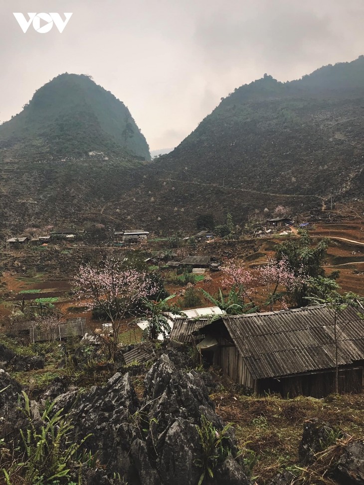 Stunning beauty of Ha Giang province - ảnh 4