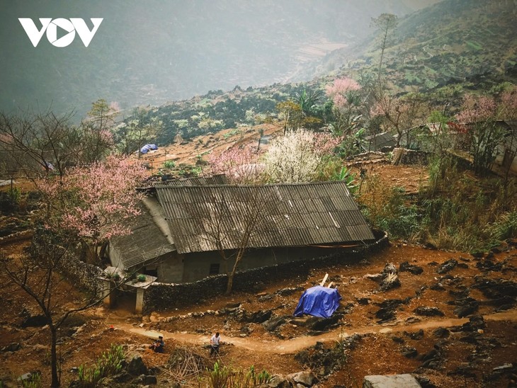 Stunning beauty of Ha Giang province - ảnh 6