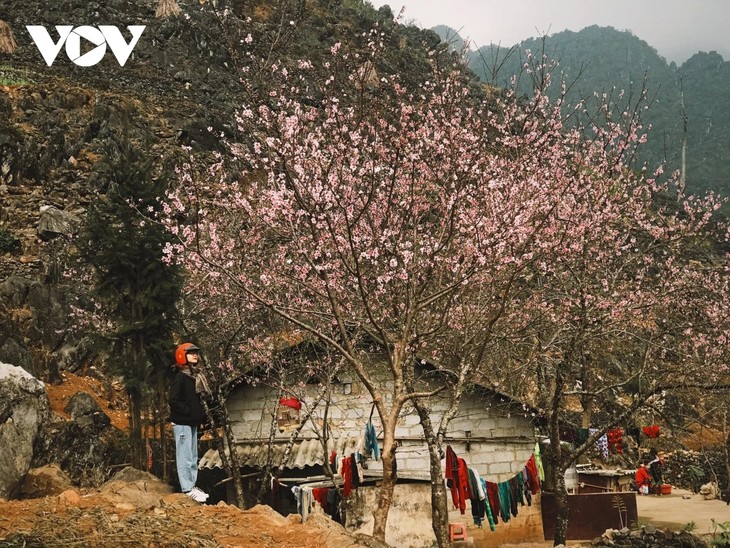 Stunning beauty of Ha Giang province - ảnh 7