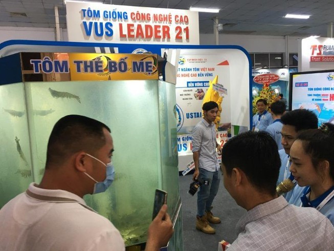 Shrimp export targets 4 billion USD this year - ảnh 1