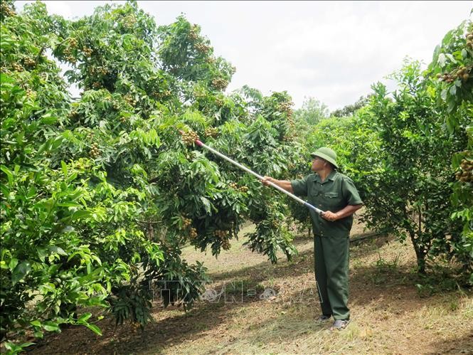 Chieng Khuong border commune changes to a new-style rural area - ảnh 2