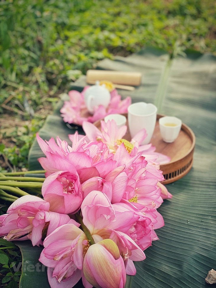 Lotus scented tea, a special treat of summer - ảnh 4