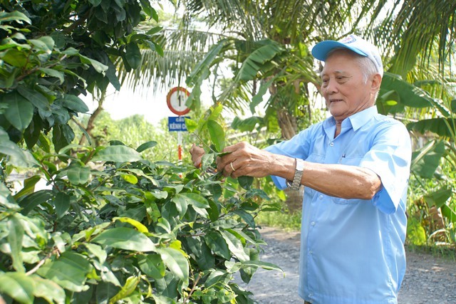 Vietnam Day of Older Persons: beauty in old age - ảnh 7