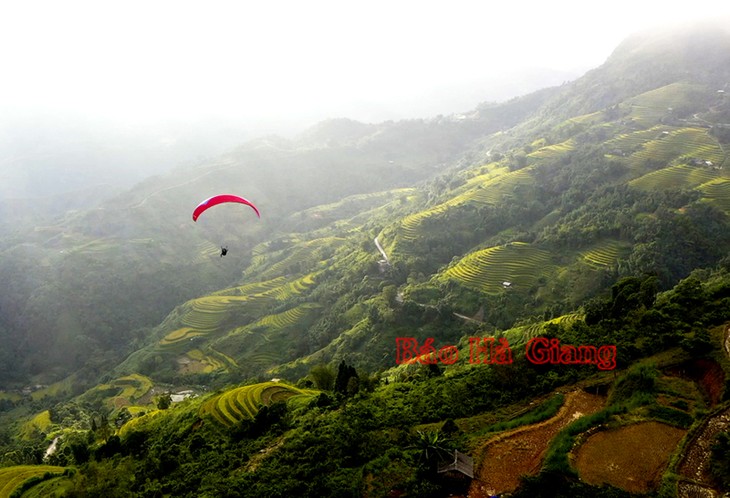 Festival of Hoang Su Phi terraced rice fields to open in September - ảnh 1