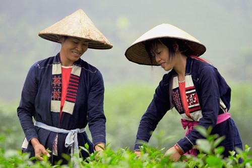 Traditional clothes of the Cao Lan - ảnh 1