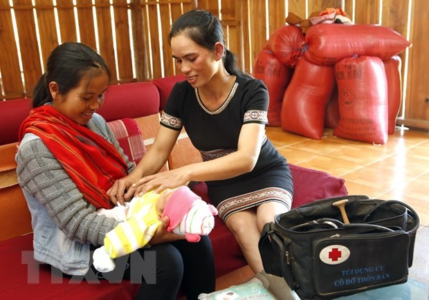 2-mln-USD project to prevent maternal deaths in Vietnamese ethnic minority women - ảnh 1