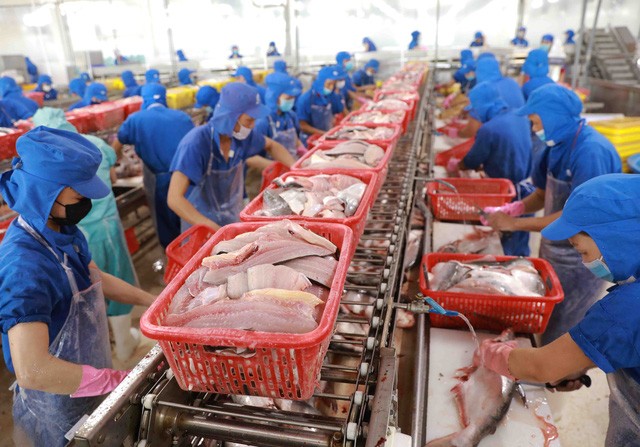 Fishery exports estimated to reach near 8.9 billion USD in 2021 - ảnh 1