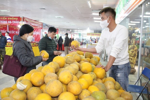 Spring Fair 2022 offers goods for Tet - ảnh 1