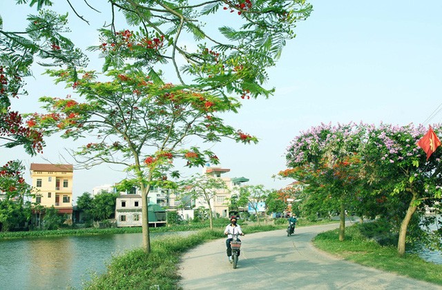 At least 80% of communes hope to be new-style rural areas by 2025 - ảnh 1