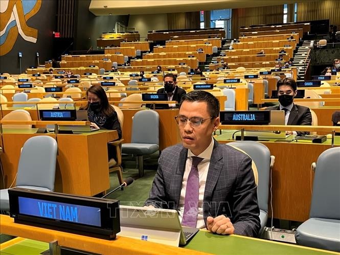 Vietnam pledges to promote UN’s common agenda: Diplomat - ảnh 1