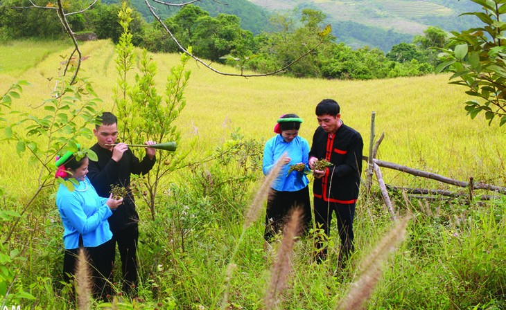 Soóng Cọ ​Singing Festival highlights San Chi ethnic minority culture - ảnh 1