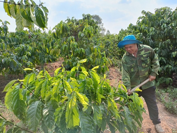 Socio-economic recovery and development program proves effective in Kon Tum province - ảnh 2