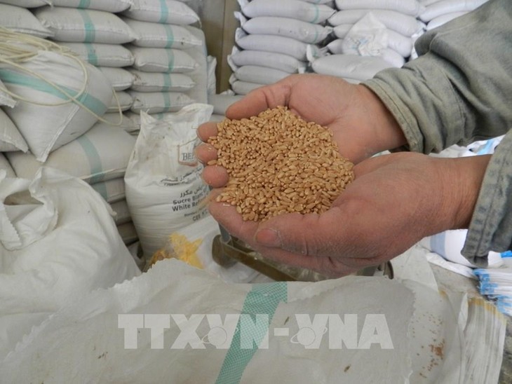 FAO, WFP warn of looming widespread food crisis - ảnh 1