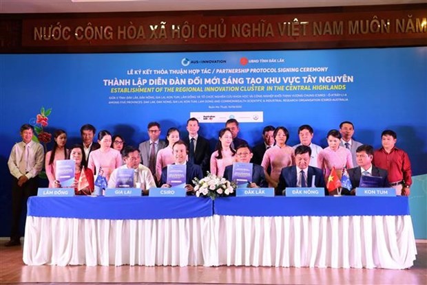 Regional Innovation Cluster in the Central Highlands established - ảnh 1