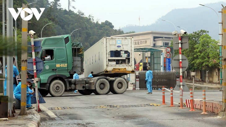 Lang Son facilitates exports of fresh fruit through border gates - ảnh 2