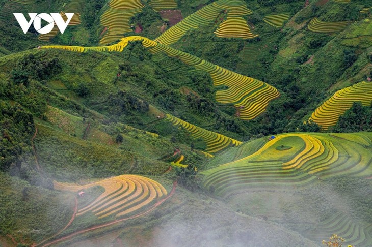 Woman preserves picturesque terraced fields in Mu Cang Chai - ảnh 3