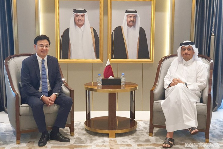 Vietnam, Qatar improve economic cooperation - ảnh 1