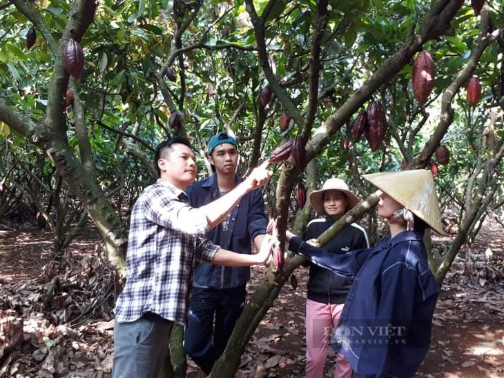 Dak Lak sets up chain links to improve farm produce value - ảnh 2