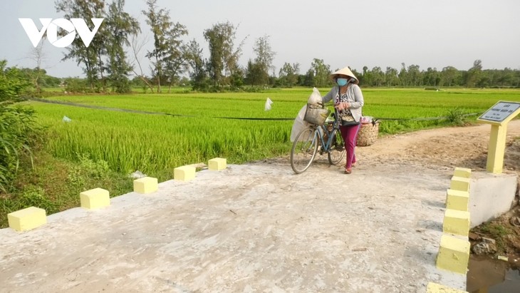 War veteran builds 30 bridges for people in Quang Nam - ảnh 1