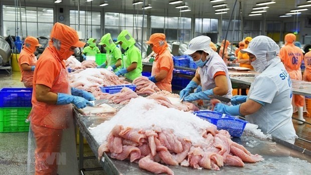 Mexico becomes Vietnam's third largest tra fish importer  - ảnh 1