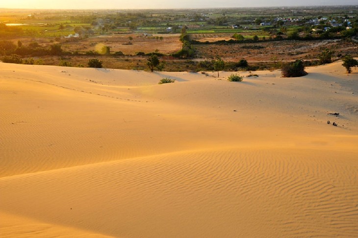 Nam Cuong red sand dune in Ninh Thuan province - ảnh 2