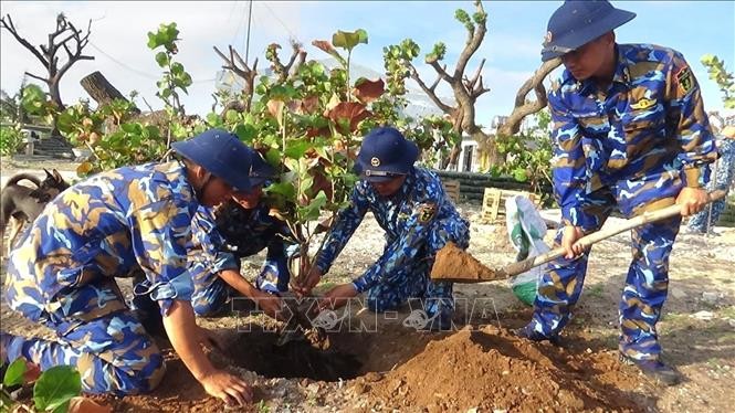 “For a green Truong Sa” model stabilizes island environment - ảnh 1